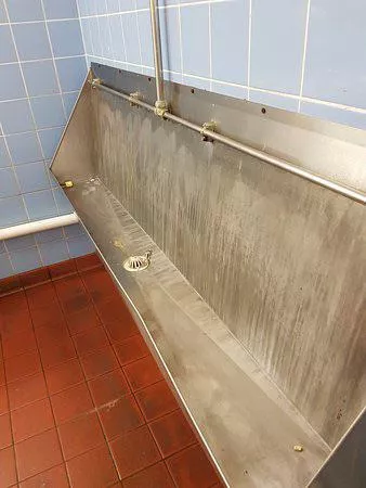 Toilet Love. Is it just me is there no better cruising spot than a piss-stained, old toilet? The smell gets me hard. Toilet Love. Is it just me is there no better cruising spot than a piss-stained, old toilet? The smell gets me hard.