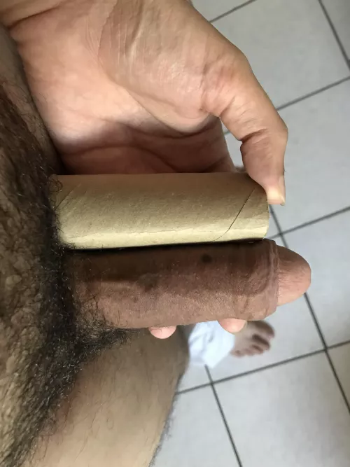 Toilet paper flaccid - failed