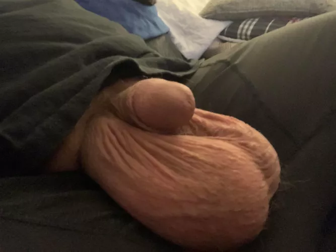 Too big to teabag?? Too big to teabag??