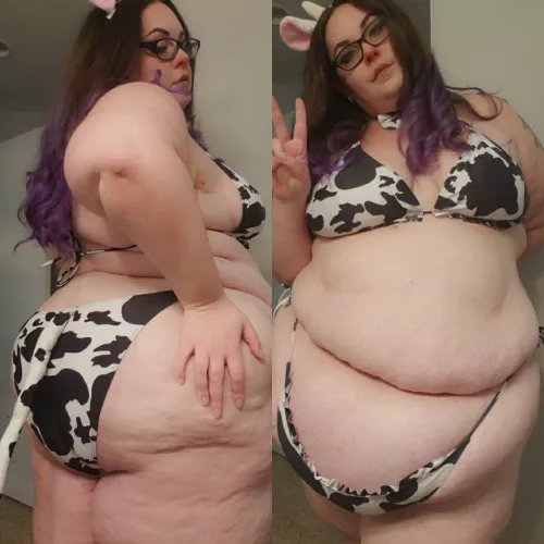 Too fat to breed, to feral to be submissive