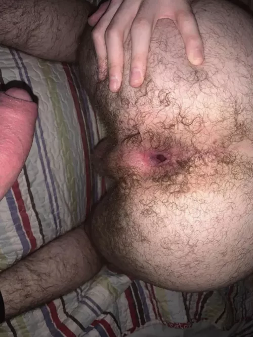Took a big cock in my hairy ass last night