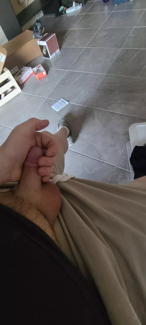 Took a break from moving to show you all my cock. Hope you like it!