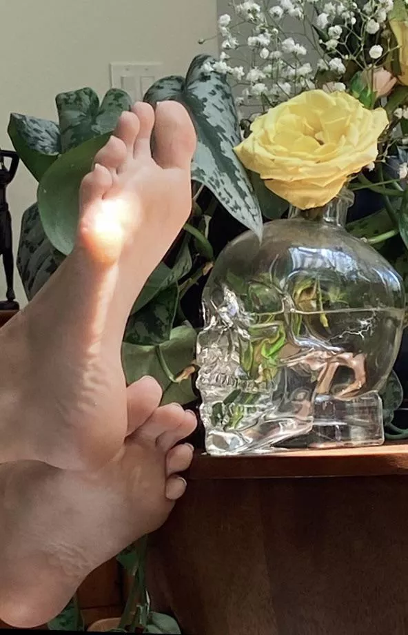 Took this photo of my petite soles⦠what do you think? Took this photo of my petite soles⦠what do you think?