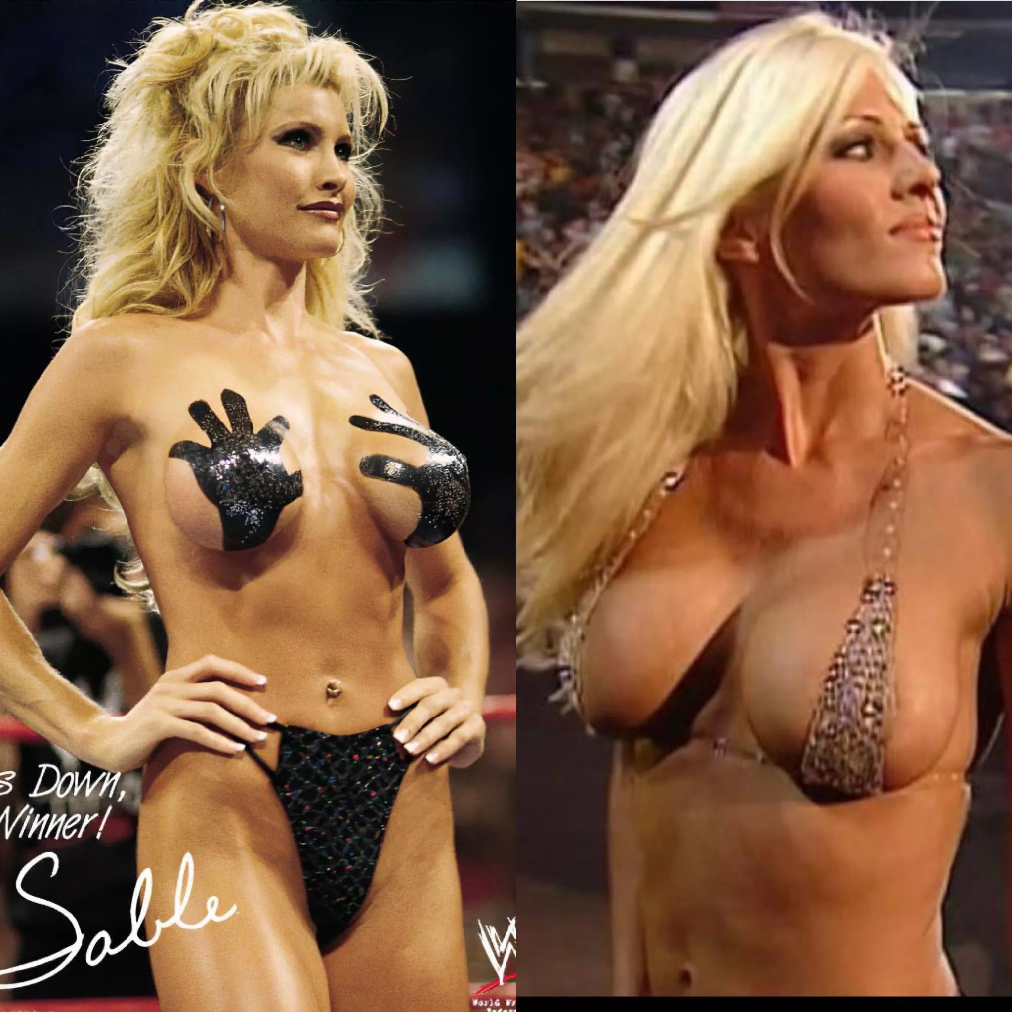 Torrie vs sable top shelf was an all time debate nudes in WrestleFap Onlynudes