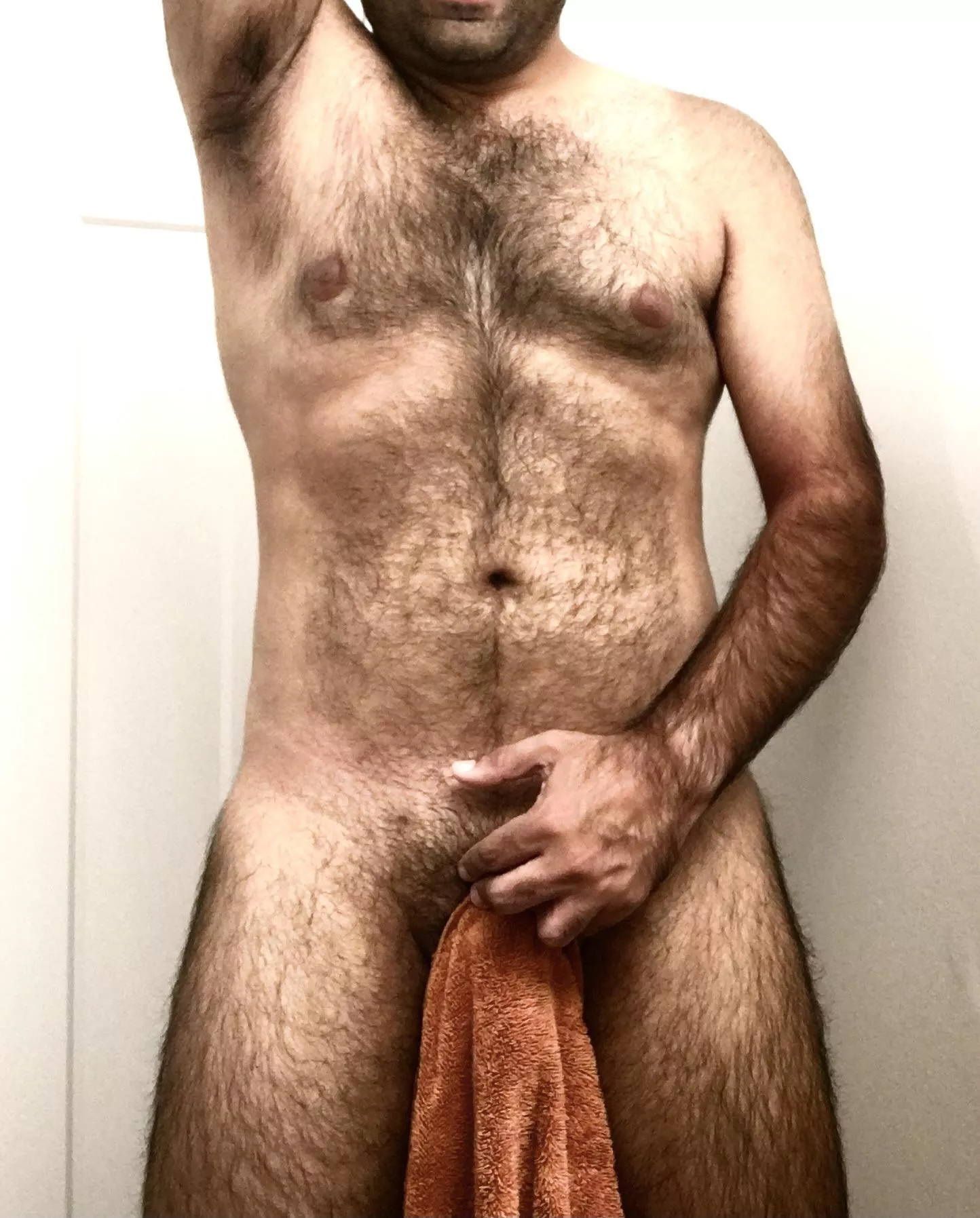 Towel Tuesday, anyone? Towel Tuesday, anyone?
