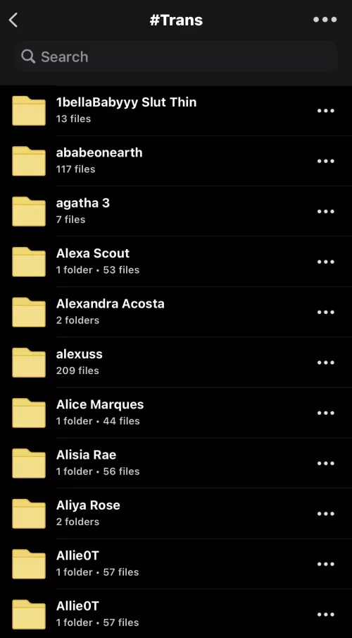 TRANS FOLDER WITH OTHER 370 TGIRLS FOR ONLY $10 DM FOR CASHAPP βοΈ