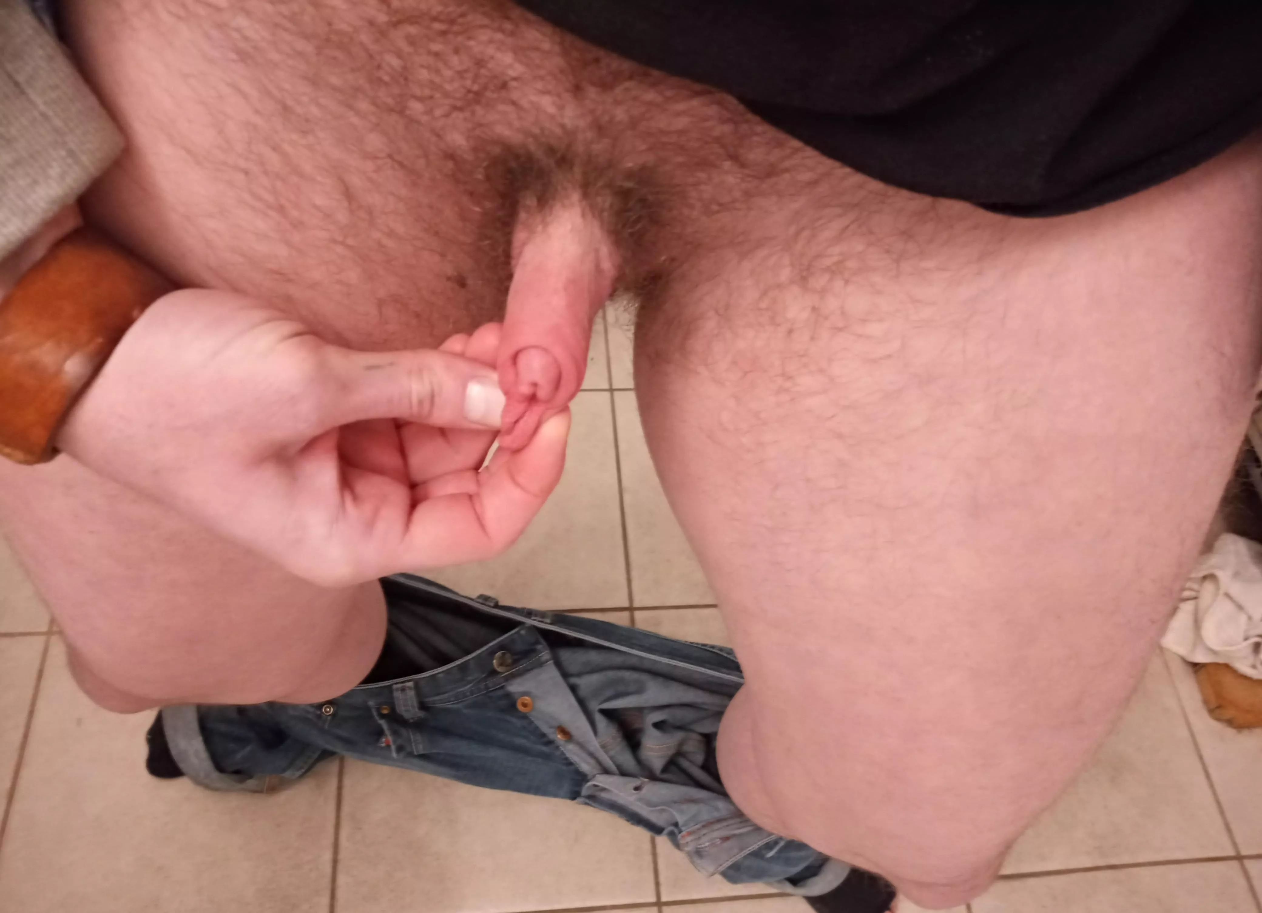 Trans guy dick, back again [35]