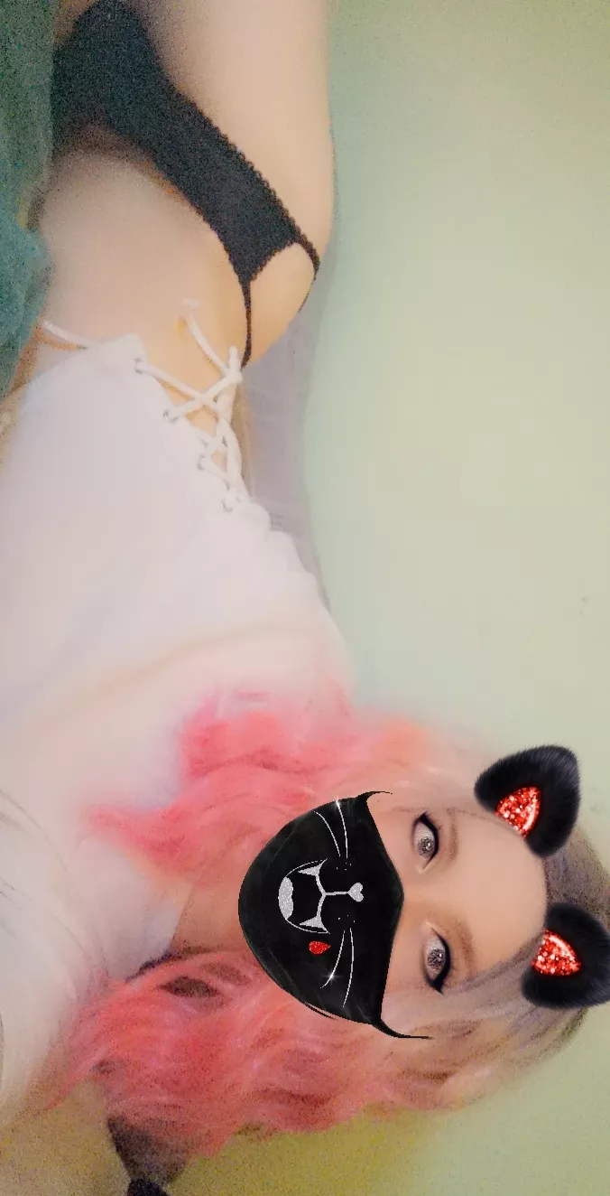 Chaturbate femboys