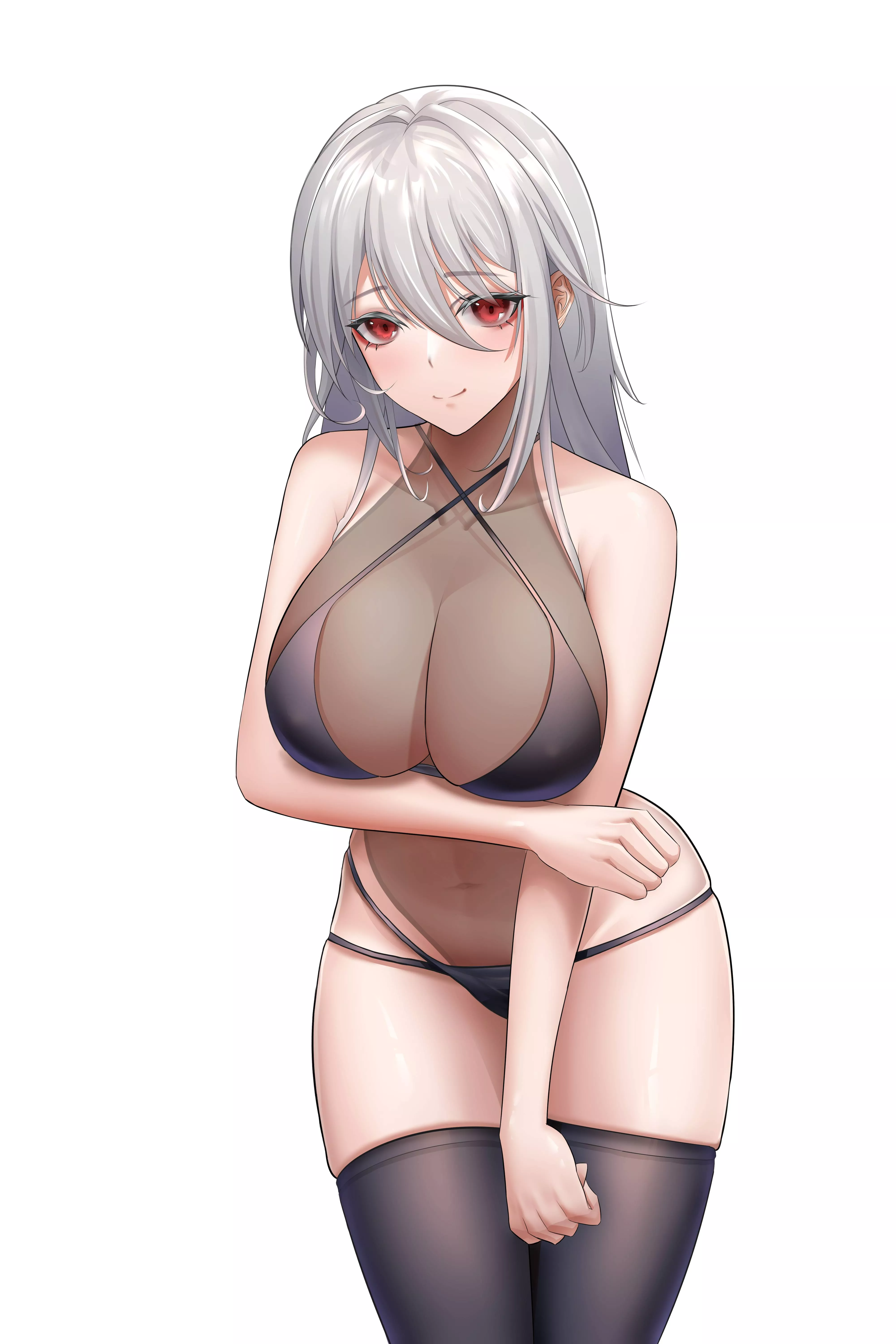 Translucent Leotard Translucent Leotard