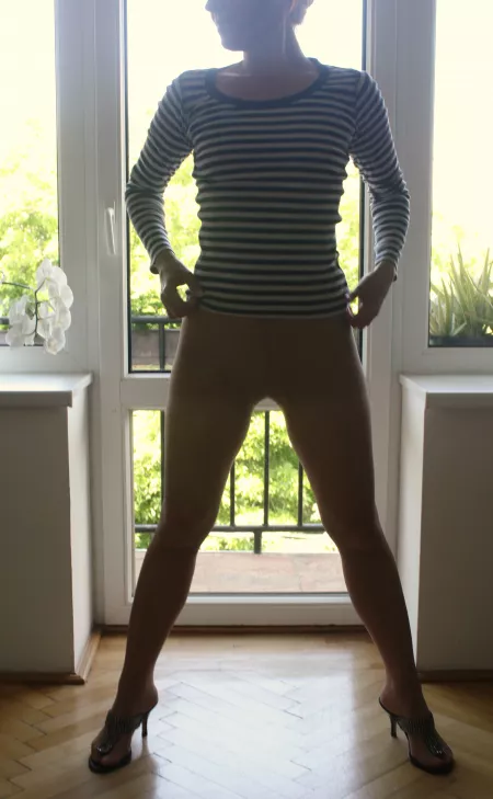 🌜🌞🌛 Transparent, predictable, enlightened. Need? 🌜🌞🌛️ [OC] [F]