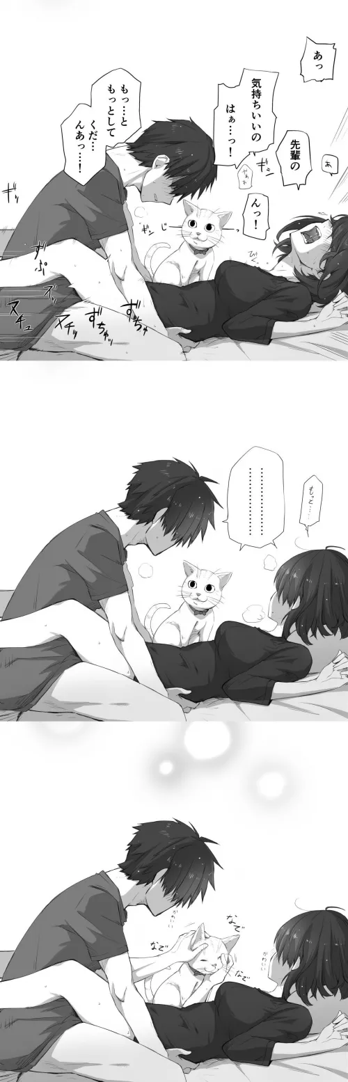 Traumatising the cat