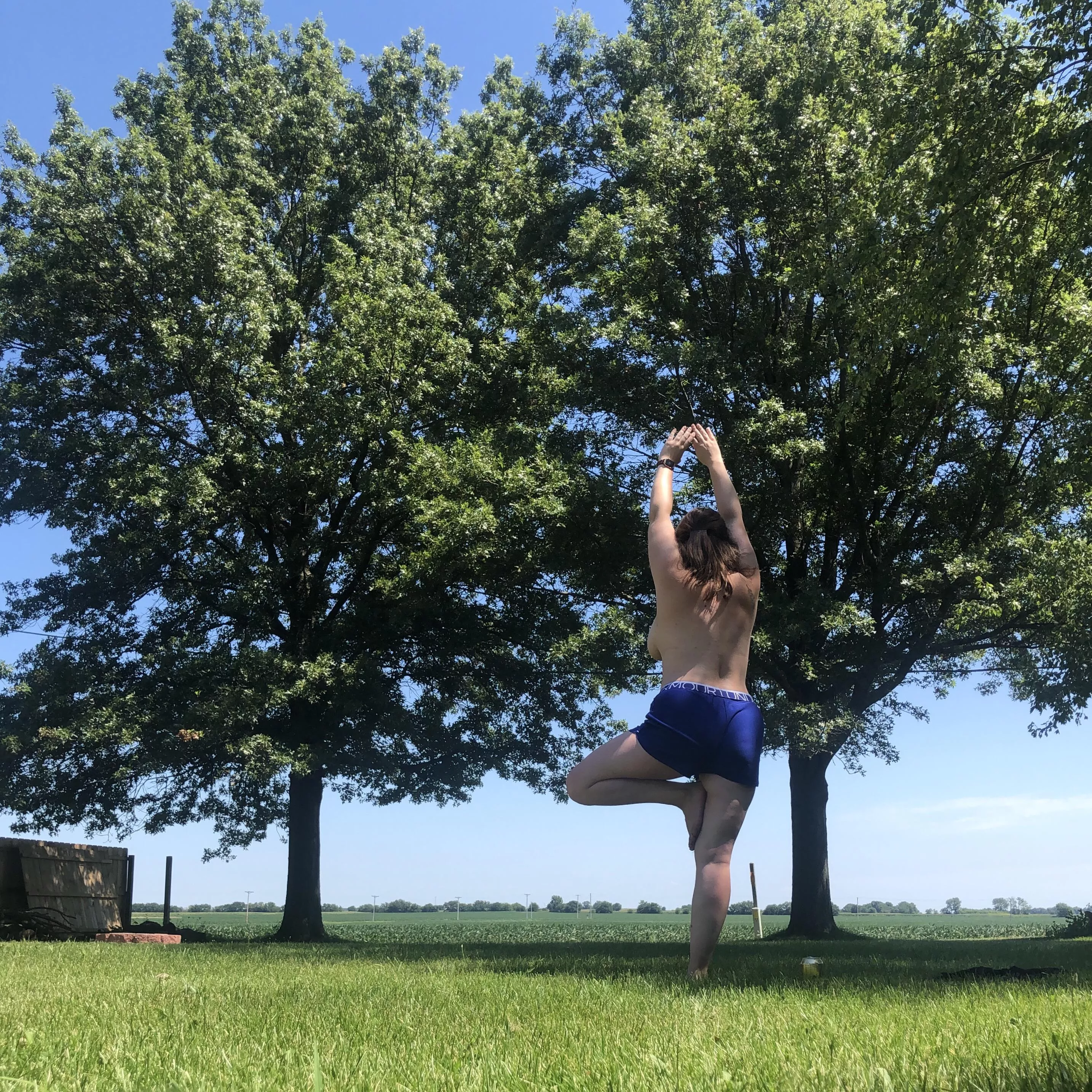 Tree among trees Tree among trees