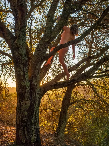 🌳Tree Pose Tuesday🌳 🌳Tree Pose Tuesday🌳