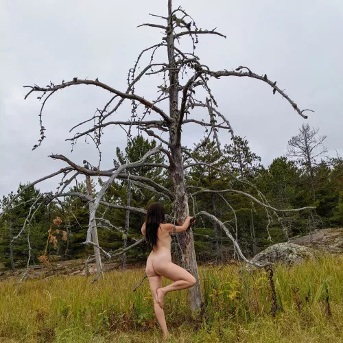 Tree pose Tuesday!! Tree pose Tuesday!!