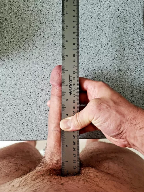 Try this on for size! 🤣😅 7.25ish x 5.5 Try this on for size! 🤣😅 7.25ish x 5.5