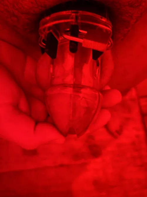 Trying out my new chastity cage