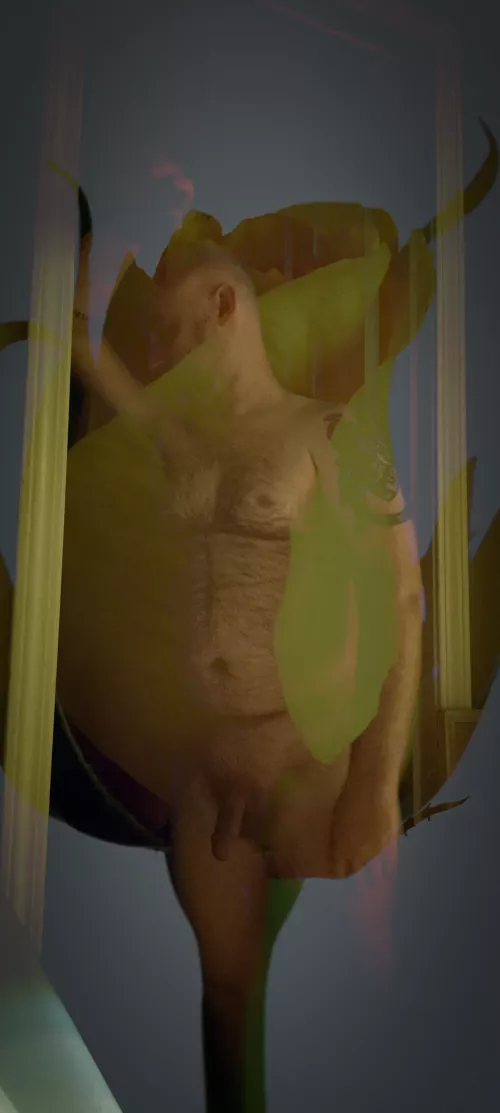 Trying out some artistic photography. (38m)