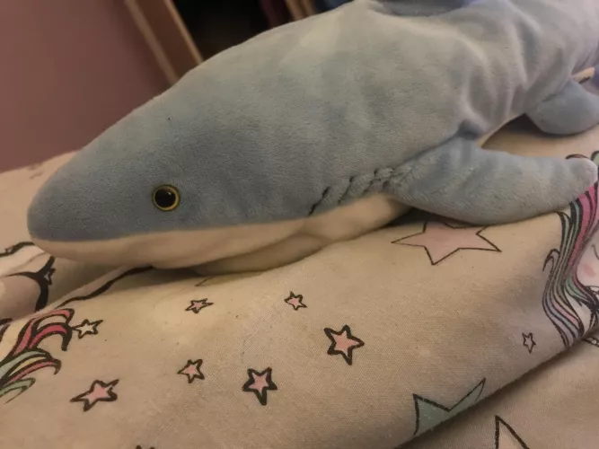 Trying to comfort myself with this guy