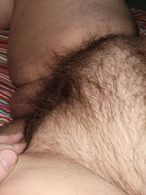 Trying to convince my fiance to start an only fan's she don't thing anyone would want to see her hairy curvy body