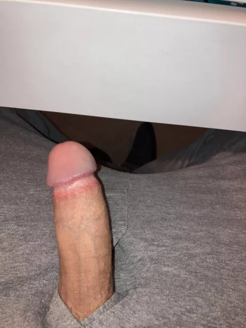 Trying to study but Iβm so horny. Need a sucking now. Need some blowjob slaves.