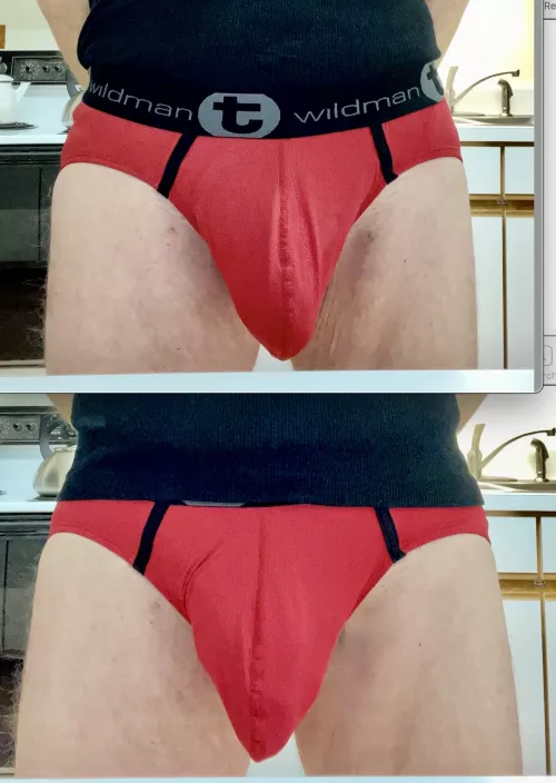 Tucked Or Untucked? WildmanT Big Boy Pouch Briefs