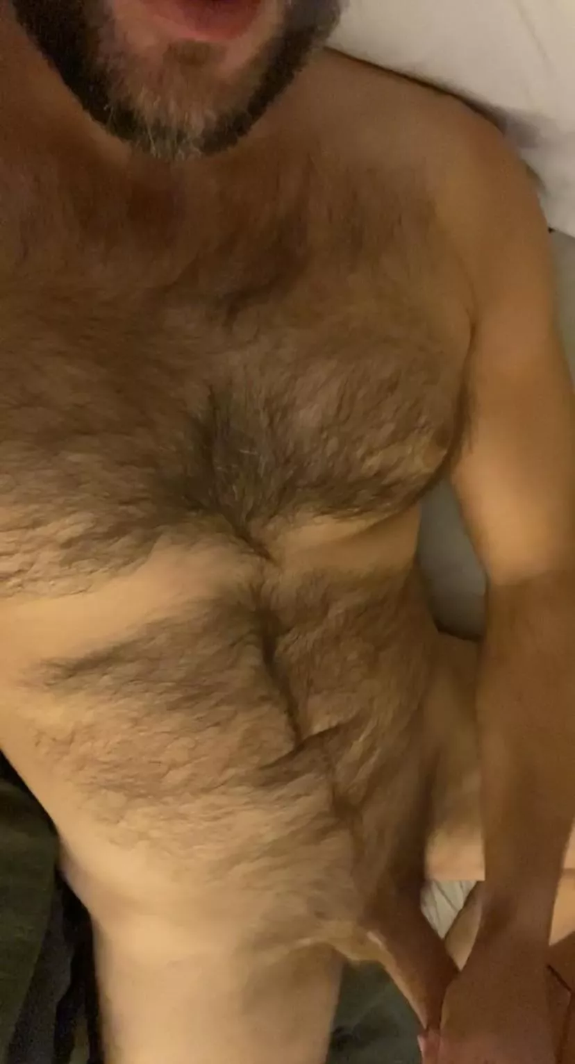 tuesday got a little hairy tuesday got a little hairy