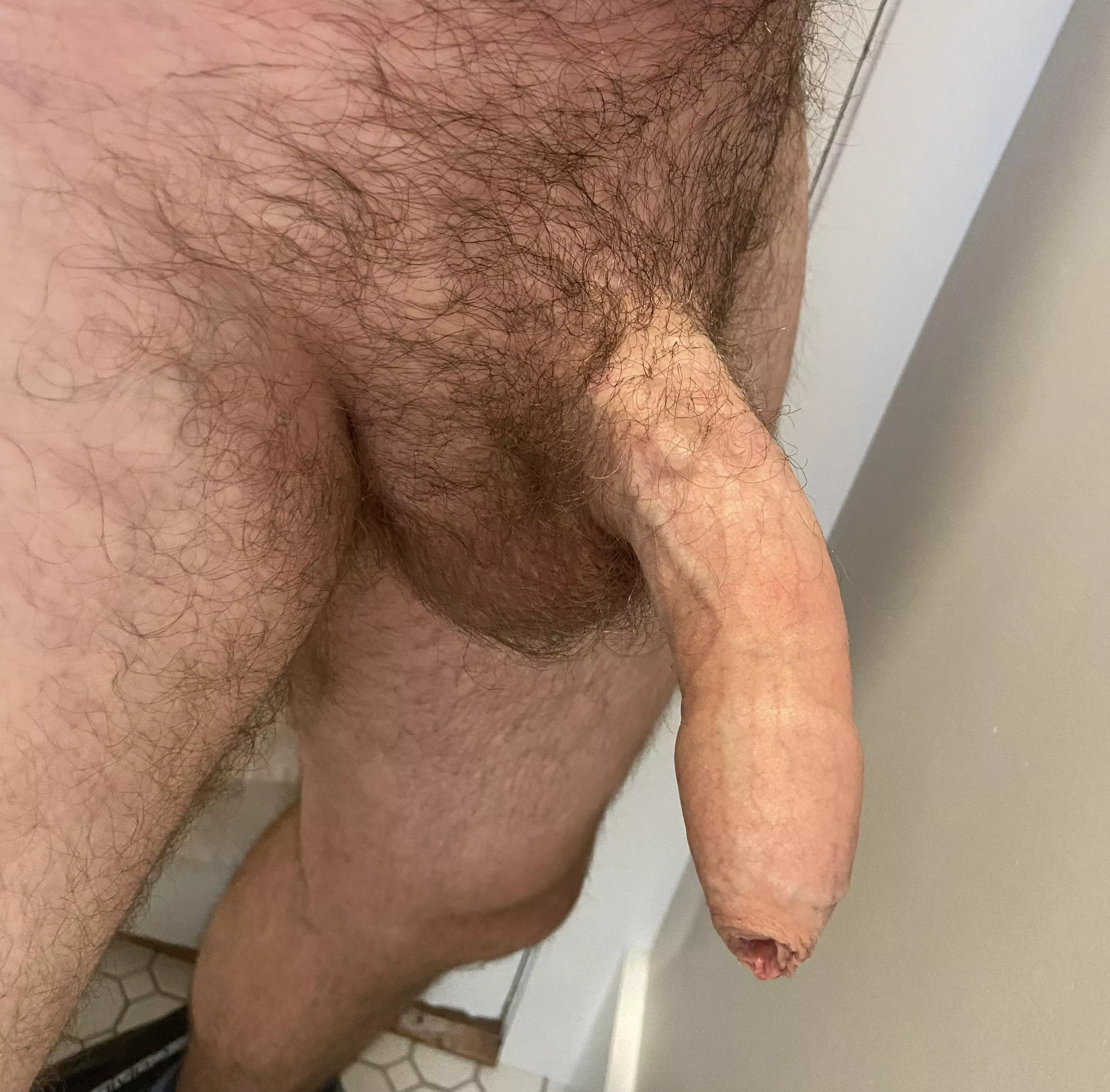 Tuesday Trunk Tuesday Trunk