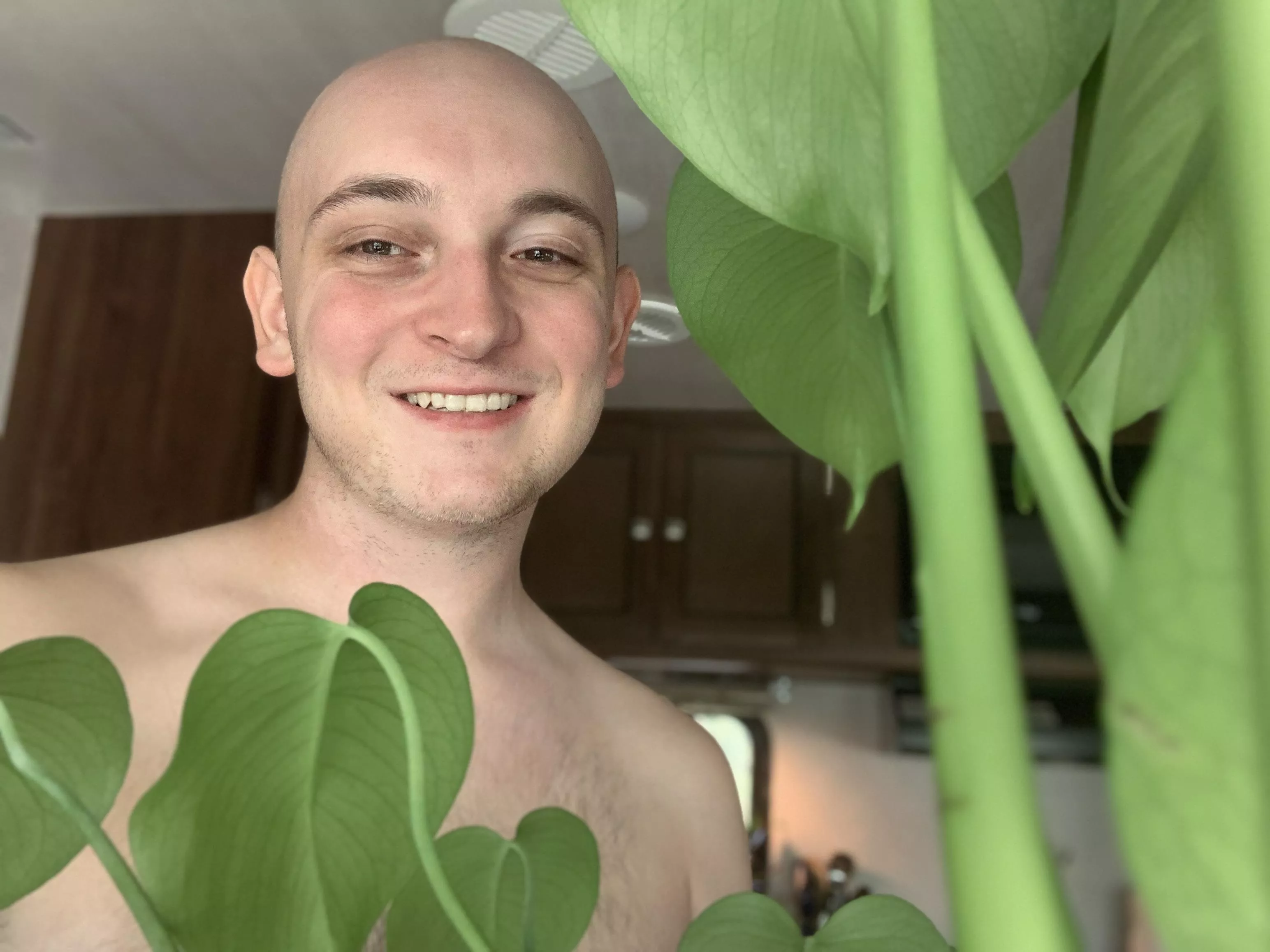 Turtwig gang rise up 🐢 🍃