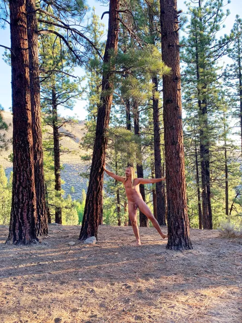 Twas a beautiful sunrise. LOVE a tree, or many ๐๐๐๐ผ Twas a beautiful sunrise. LOVE a tree, or many ๐๐๐๐ผ