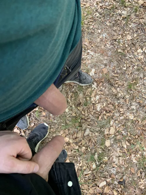 Twink dicks out in the Park