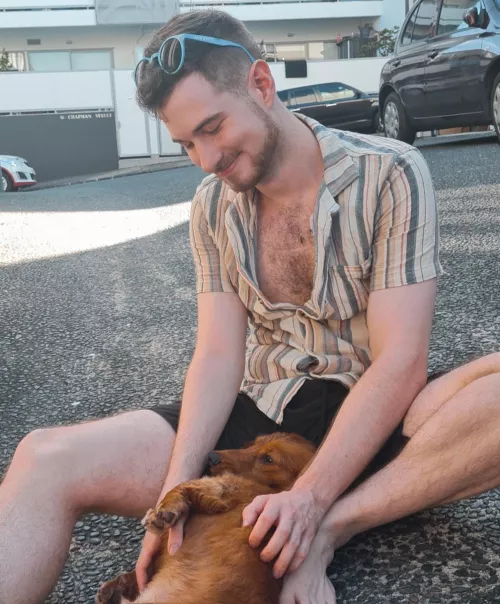 two puppies, two puppies,