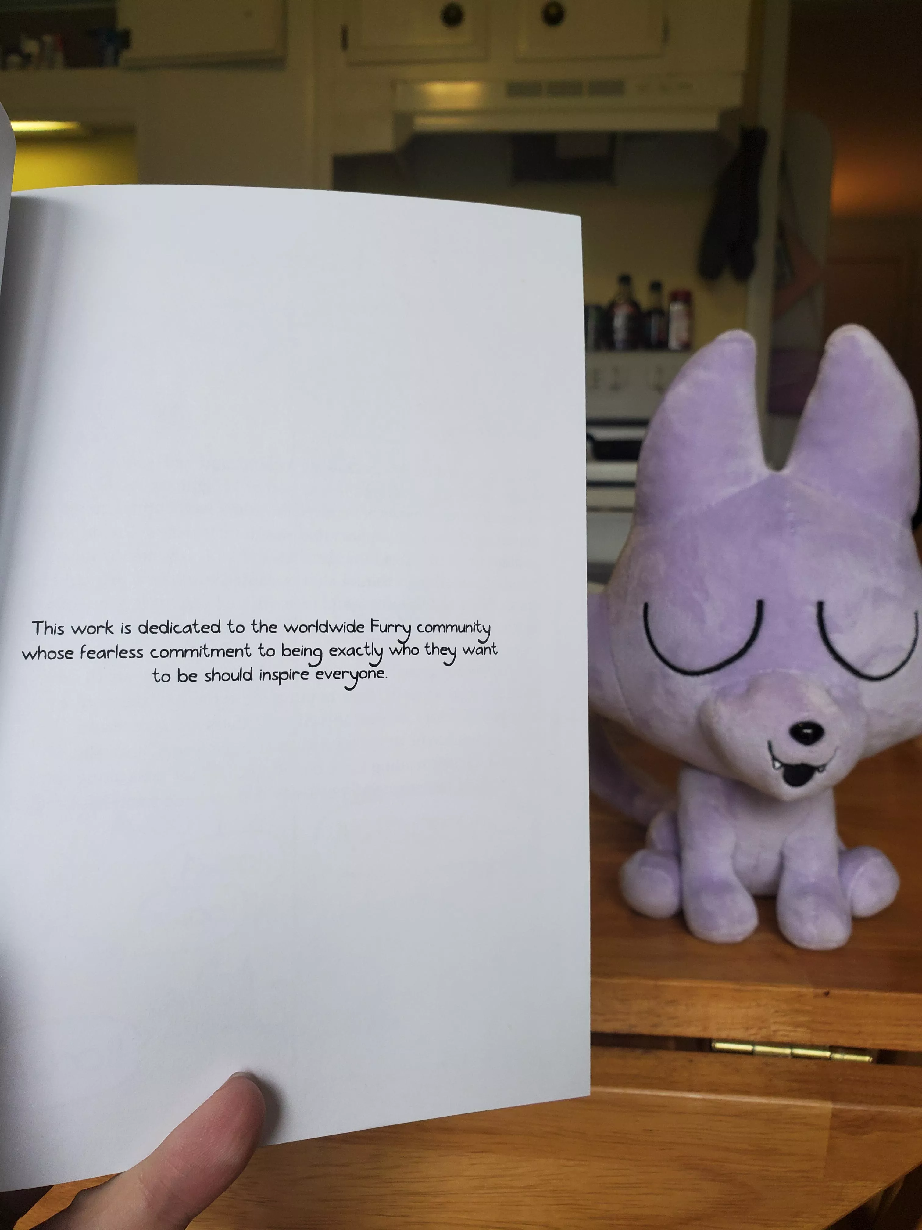 Two years ago I said, if I ever print a book of Awoo comics, I will dedicate it to the furries of the world. As of yesterday with pre-orders of volume 1 going on sale, I made good on that promise. Couldn't have done it without you.