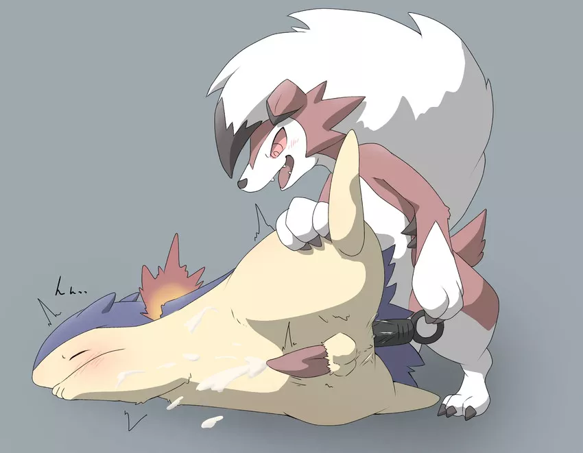 Typhlosion & Lycanroc (Kiteshiko) Typhlosion & Lycanroc (Kiteshiko)