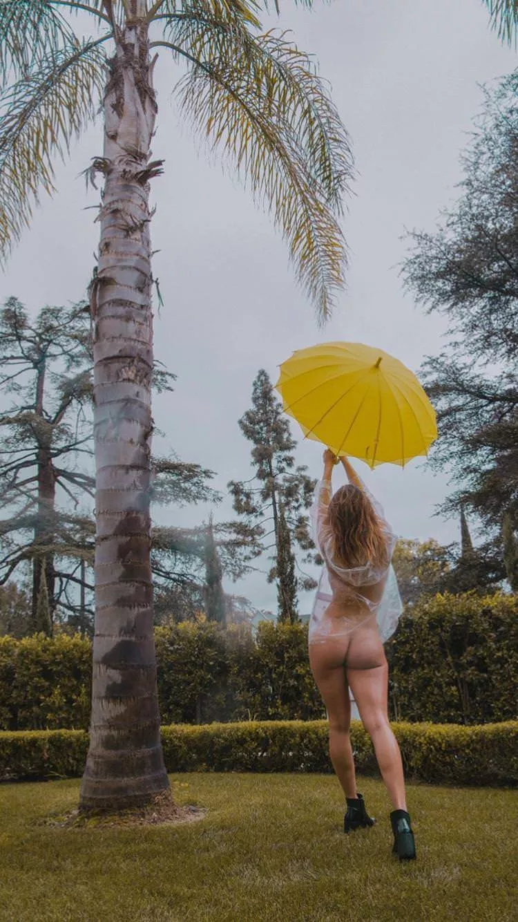 Umbrella Umbrella