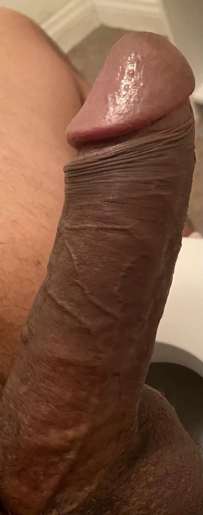 Uncut Uncut