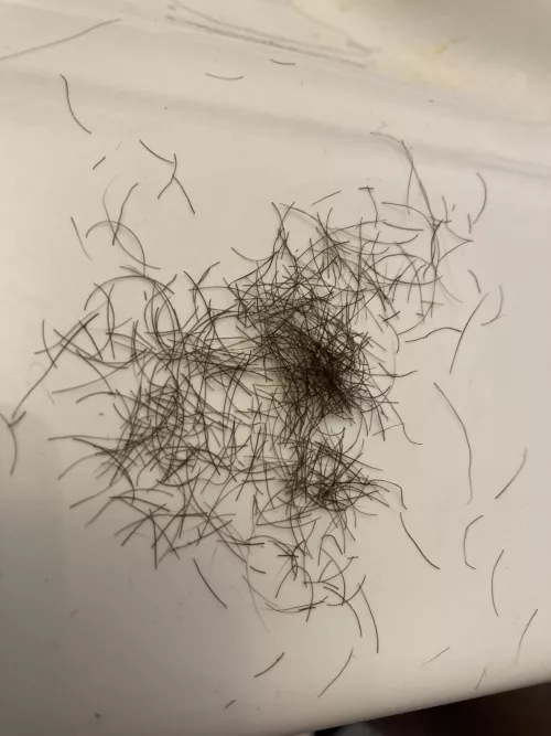 Under arm, legs, pubic hair 💇‍♀️ [selling]