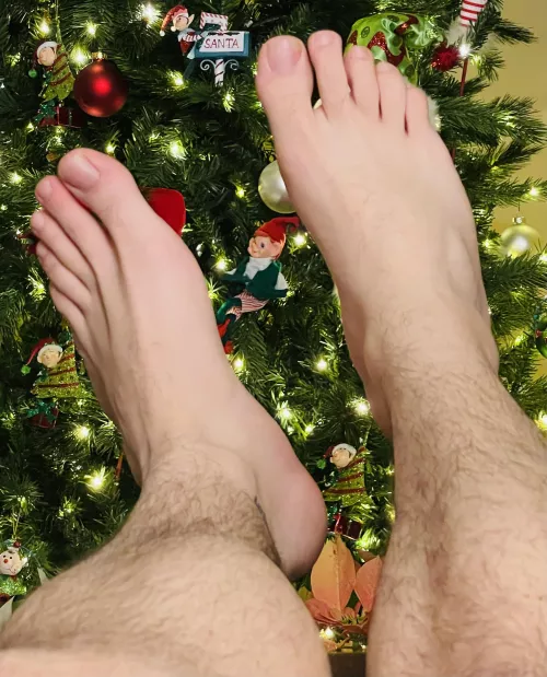 Unwrap these for Christmas 🎄