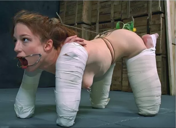 Up for adoption at the shelter. Apparently this pet is