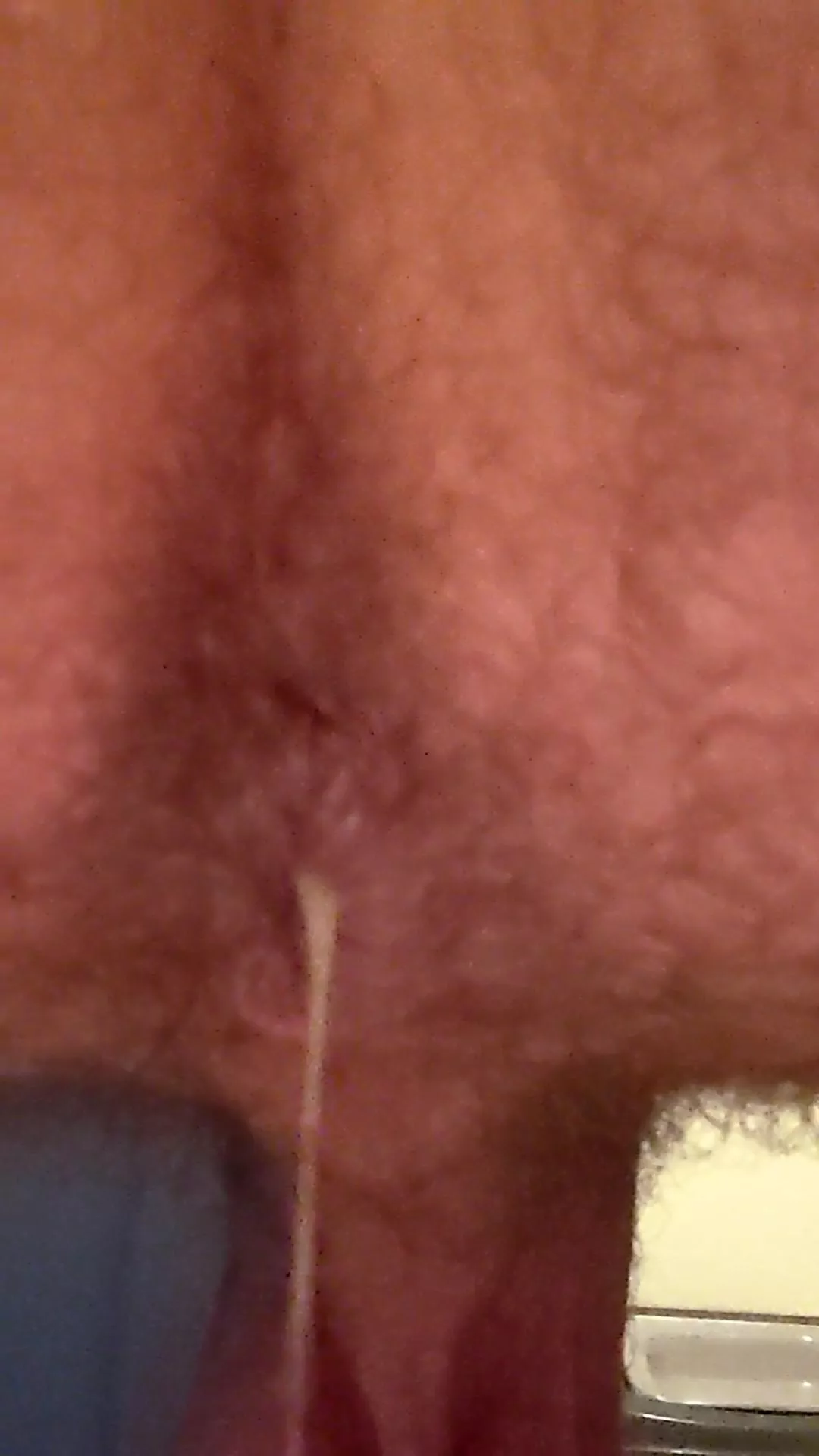 Vacation breeding Vacation breeding