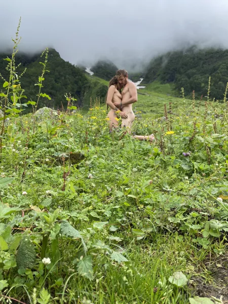 Valley of flowers✨ Valley of flowers✨