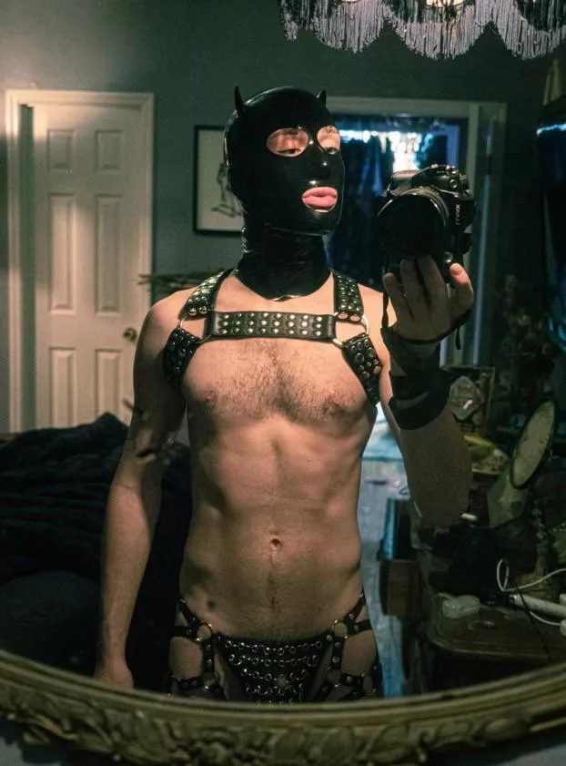 Veb from dragula
