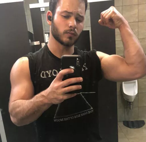Veins Veins
