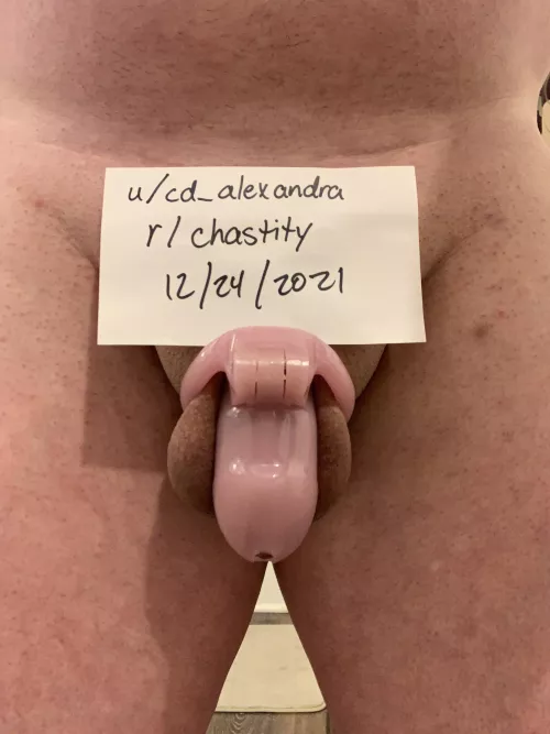 Verification
