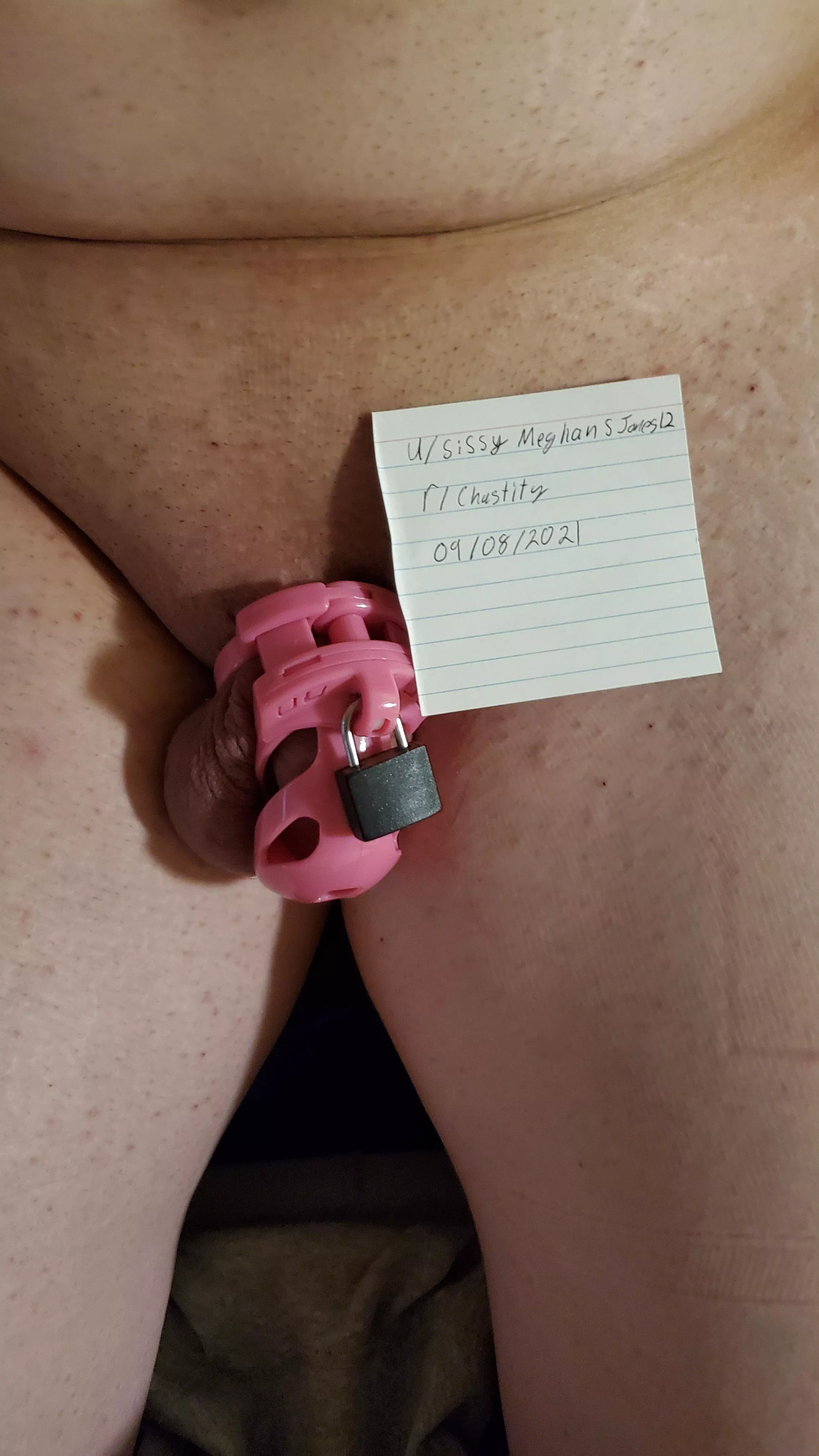 Verification Verification