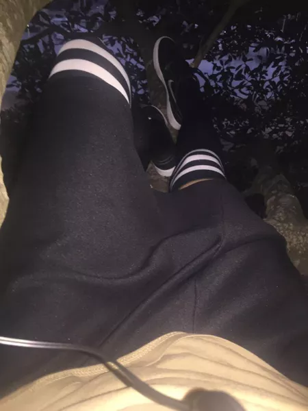 Vibing in the tree again Vibing in the tree again