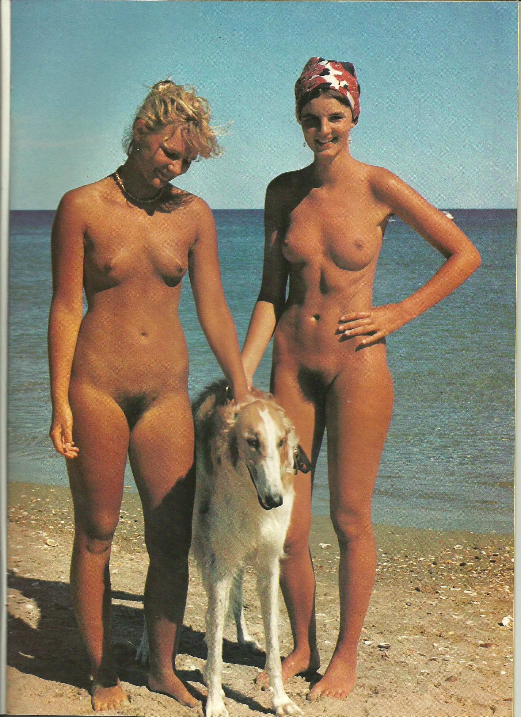 Vintage magazine: taking a photo with a dog Vintage magazine: taking a photo with a dog