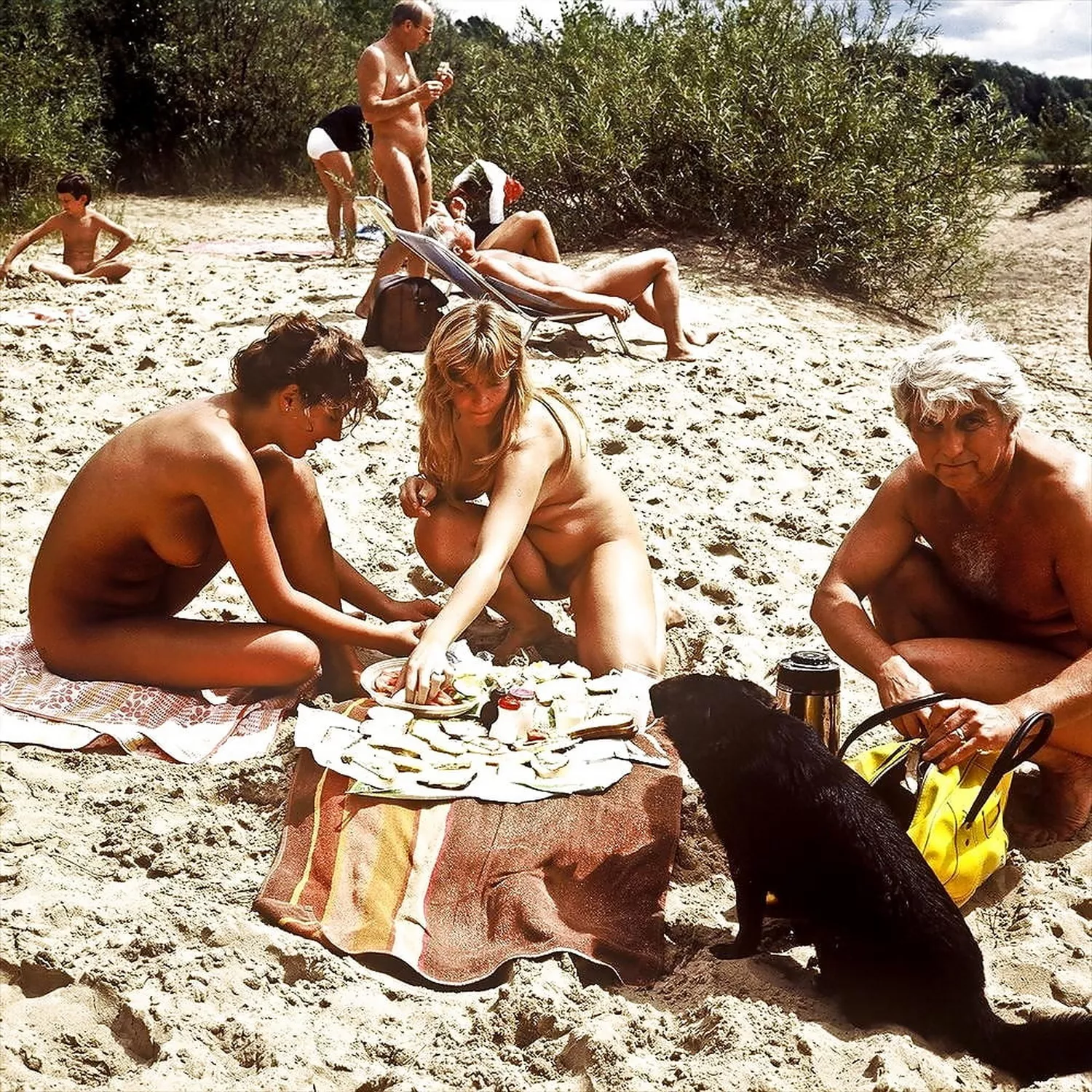 Vintage: Picnic on the beach. Food's not for you, dog! Vintage: Picnic on the beach. Food's not for you, dog!