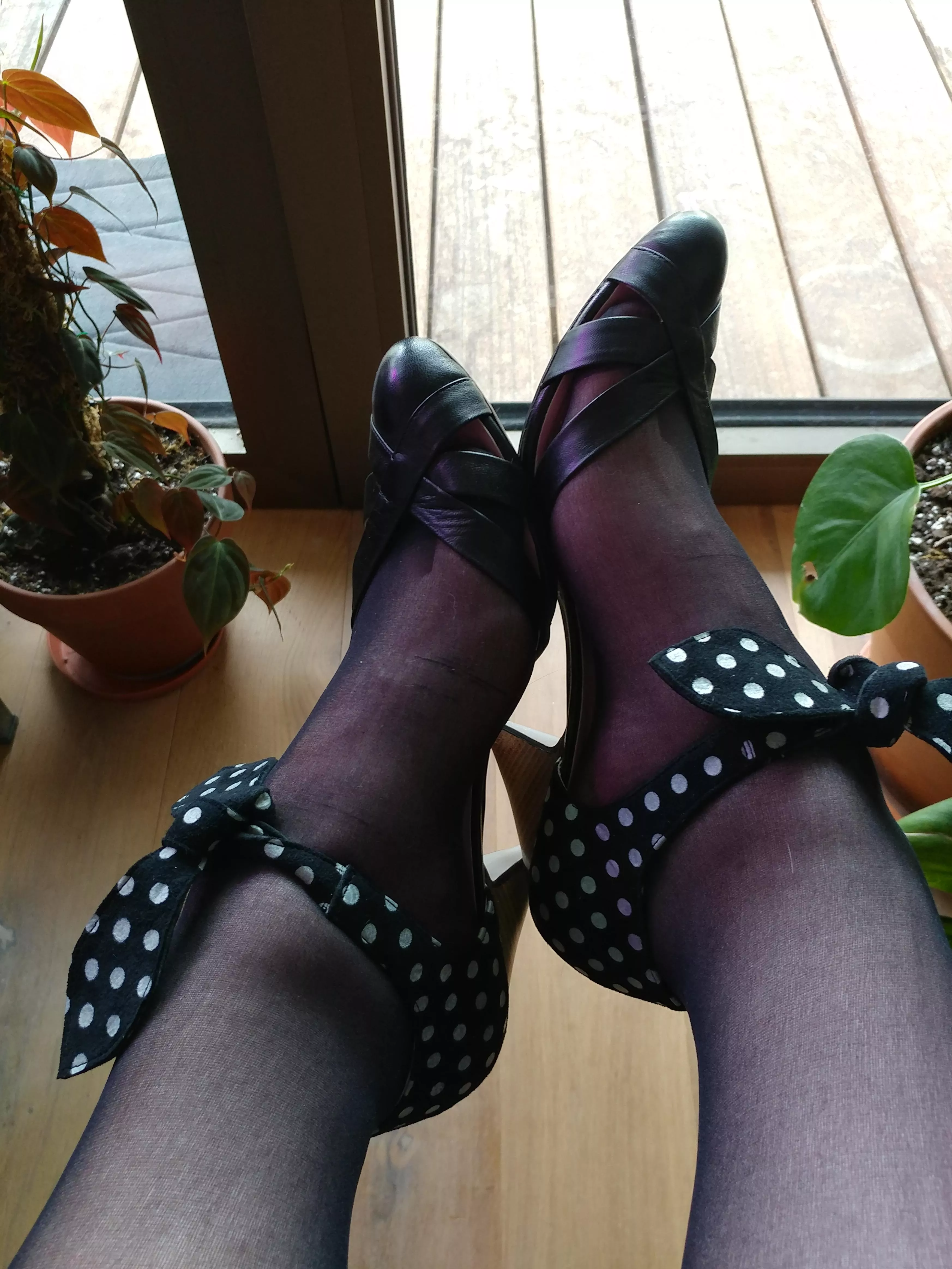 Vintage style heels with sheer nylons :) excuse the purple light - it's the grow lights for my plants! Vintage style heels with sheer nylons :) excuse the purple light - it's the grow lights for my plants!