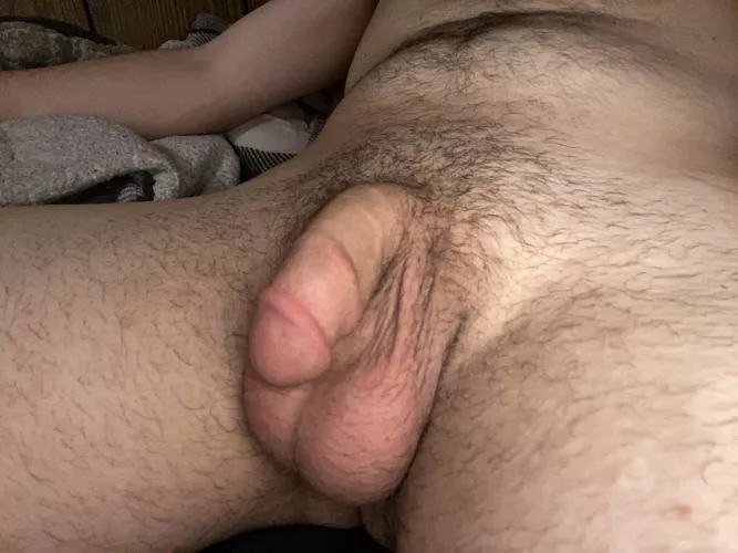 Virgin cock