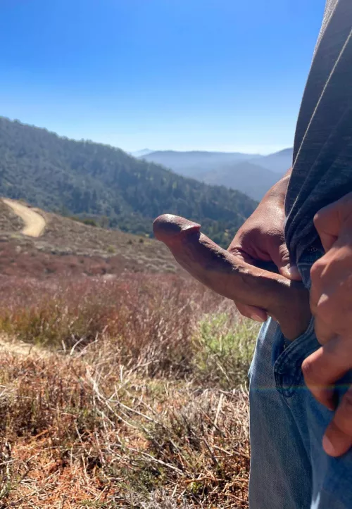 Vitamin D for the D on a hike.